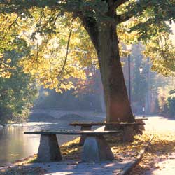 River Windrush in Bourton